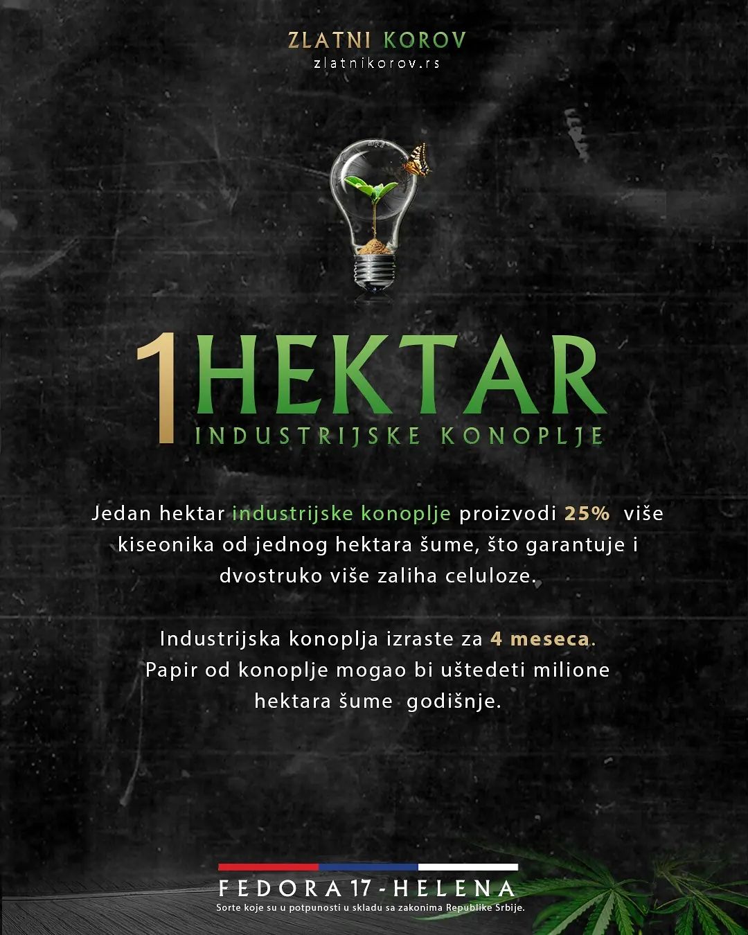 🌿 Kao što možemo da vidimo, industrijska konoplja ima izuzetan potencijal i iskoristivost u mnogim sferama proizvodnje. U inostranstvu se konobeton i konoopeka već koriste u gradnji. Potrebno je još mnogo edukacije javnosti, razbijanja predrasuda i podizanja svesti kako bi se njena upotreba povećala, pre svega jer je jeftina i ekološki prihvatljiva sirovina, ali zato smo mi tu! 🤗

💡 Za još zanimljivih tekstova pratite naš blog. 
🌱 zlatnikorov.rs/blog

Više informacija:
𝐰𝐞𝐛 | zlatnikorov.rs 𝐢𝐧𝐬𝐭𝐚𝐠𝐫𝐚𝐦 | @zlatnikorov
𝐟𝐚𝐜𝐞𝐛𝐨𝐨𝐤 | zlatnikorov 𝐥𝐢𝐧𝐤𝐞𝐝𝐢𝐧 | zlatnikorov

#ZlatniKorov #CBD #IndustrijskaKonoplja #CBDčaj #CBDsrbija #ČajodKonoplje #CBDtea #IndustrialHemp
