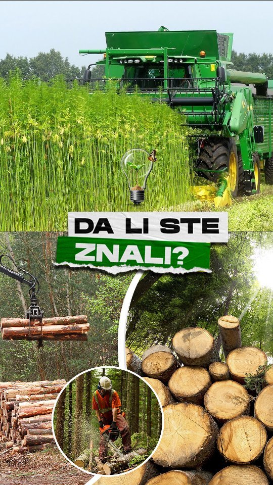 🌿 Kao što možemo da vidimo, industrijska konoplja ima izuzetan potencijal i iskoristivost u mnogim sferama proizvodnje. U inostranstvu se konobeton i konoopeka već koriste u gradnji. Potrebno je još mnogo edukacije javnosti, razbijanja predrasuda i podizanja svesti kako bi se njena upotreba povećala, pre svega jer je jeftina i ekološki prihvatljiva sirovina, ali zato smo mi tu! 🤗

💡 Za još zanimljivih tekstova pratite naš blog. 
🌱 zlatnikorov.rs/blog

Više informacija:
𝐰𝐞𝐛 | zlatnikorov.rs 𝐢𝐧𝐬𝐭𝐚𝐠𝐫𝐚𝐦 | @zlatnikorov
𝐟𝐚𝐜𝐞𝐛𝐨𝐨𝐤 | zlatnikorov 𝐥𝐢𝐧𝐤𝐞𝐝𝐢𝐧 | zlatnikorov

#ZlatniKorov #CBD #IndustrijskaKonoplja #CBDčaj #CBDsrbija #ČajodKonoplje #CBDtea #IndustrialHemp